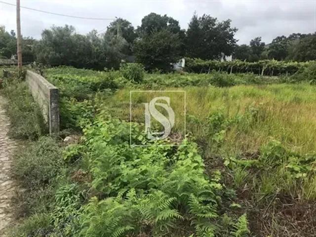 Terreno venda em Viana Do Castelo