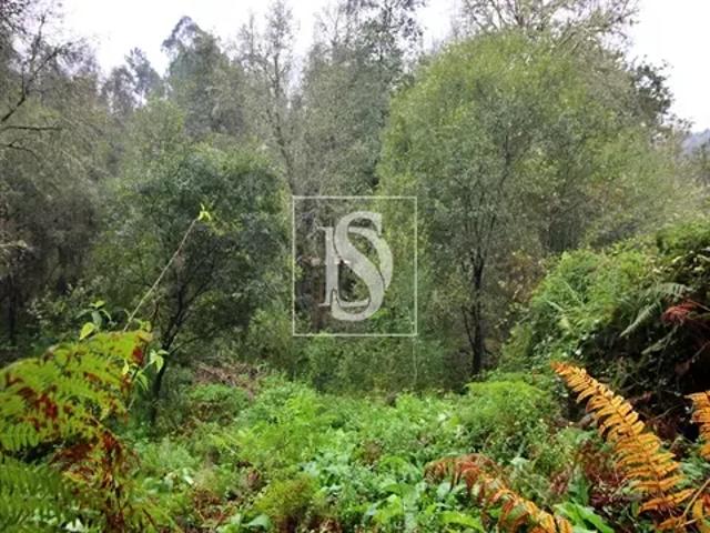 Terreno venda em Viana Do Castelo