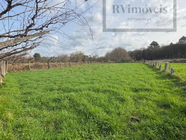 Terreno venda em Coura, Viana Do Castelo
