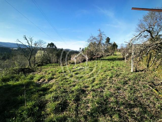 Terreno venda em Coura, Viana Do Castelo