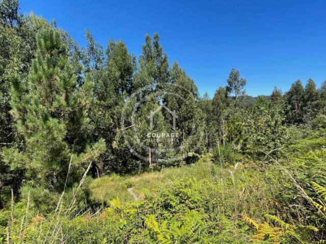 Terreno venda em Paredes De Coura, Viana Do Castelo