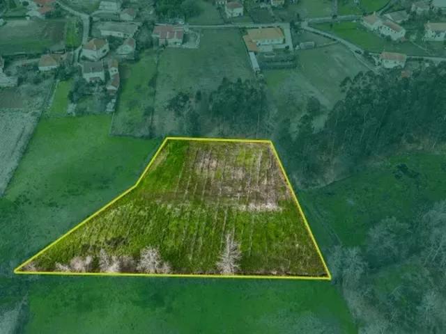Terreno venda em Viana Do Castelo