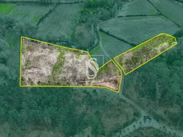 Terreno venda em Viana Do Castelo