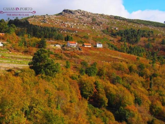 Casa venda em Rebordões (Souto), Boalhosa