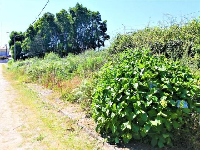Terreno venda em Viana Do Castelo