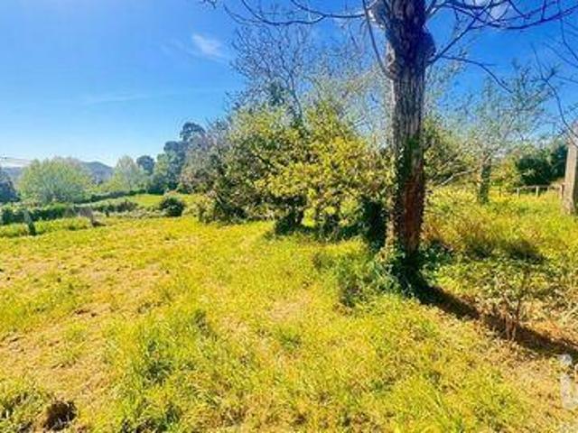 Terreno venda em Viana Do Castelo