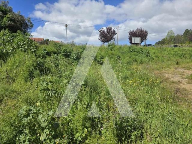 Terreno venda em Viana Do Castelo