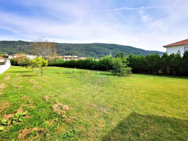 Terreno venda em Viana Do Castelo