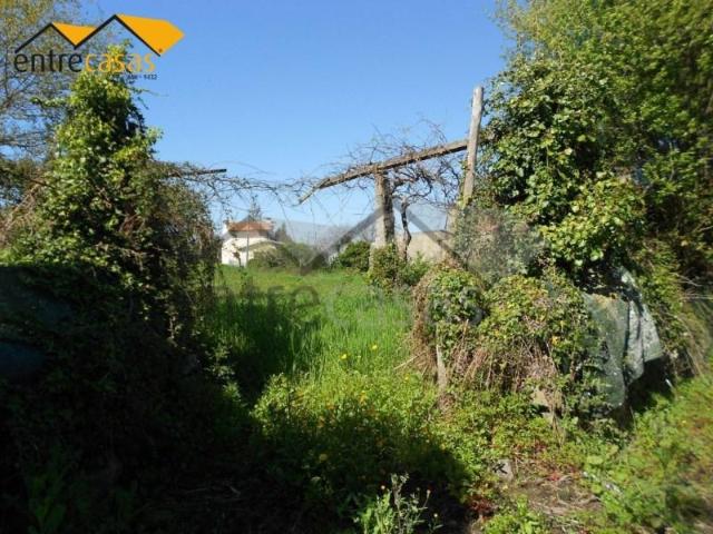 Terreno venda em Viana Do Castelo