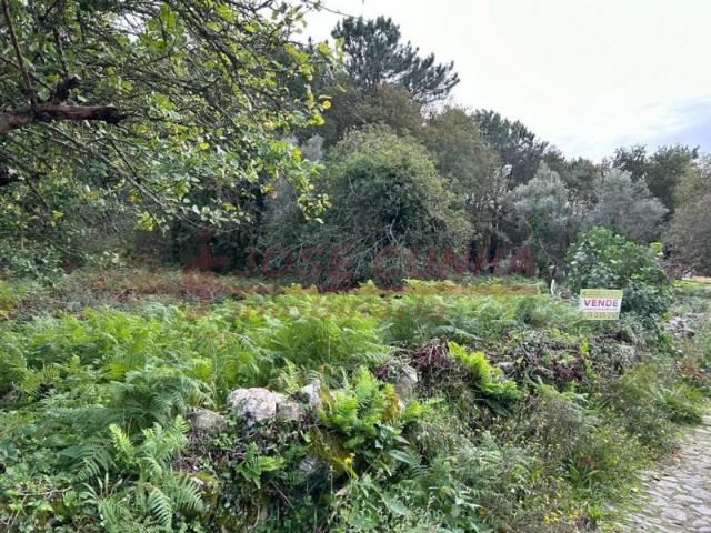 Terreno venda em Viana Do Castelo
