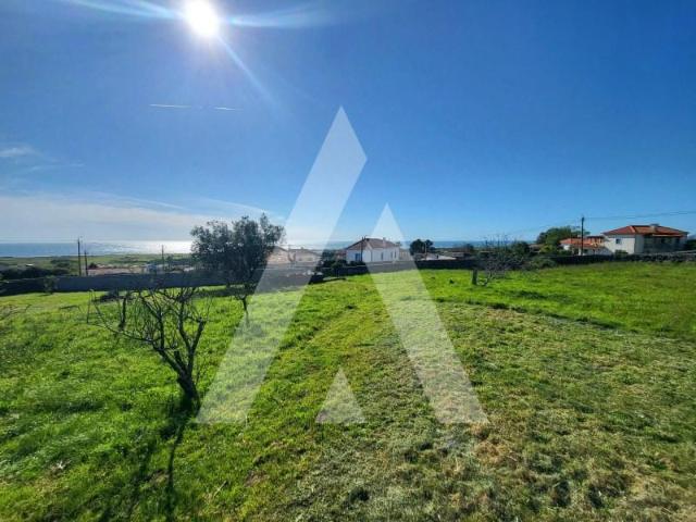 Terreno venda em Viana Do Castelo