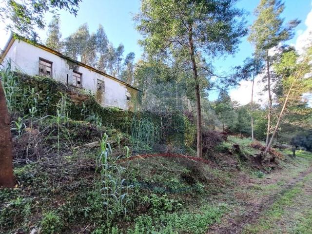 Terreno venda em Viana Do Castelo
