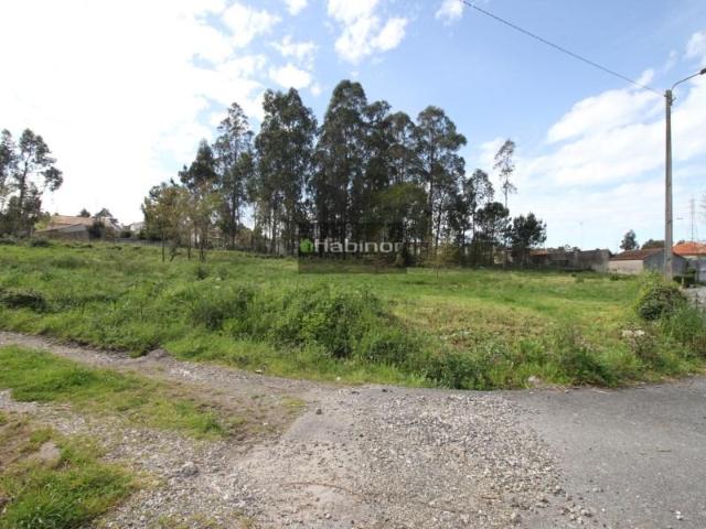 Terreno venda em Viana Do Castelo