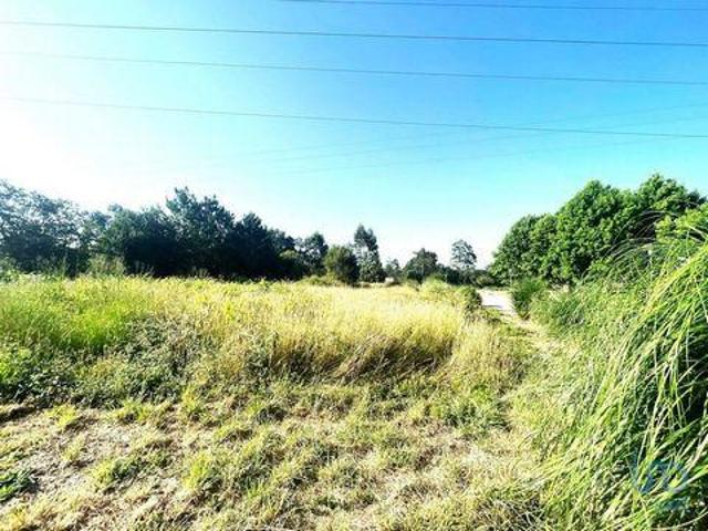 Terreno venda em Viana Do Castelo