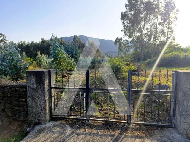 Terreno venda em Viana Do Castelo