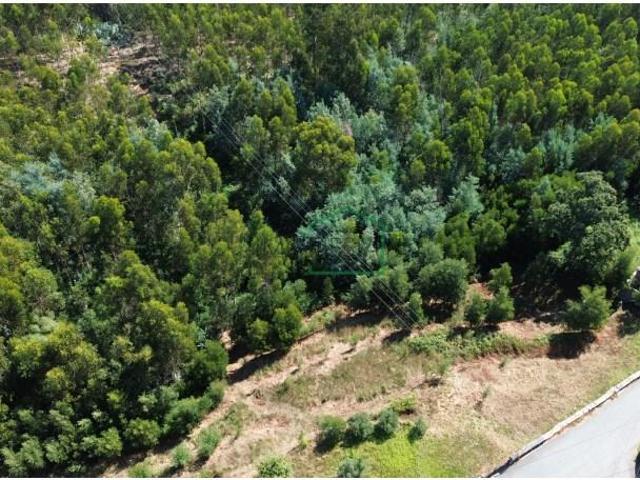 Terreno venda em Viana Do Castelo