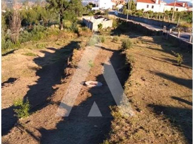 Terreno venda em Viana Do Castelo