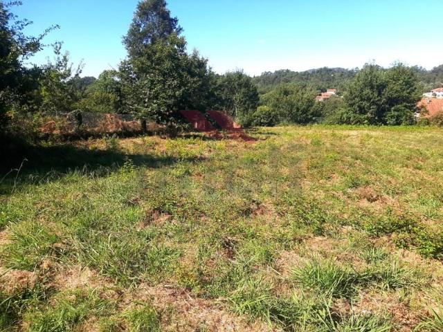 Terreno venda em Viana Do Castelo
