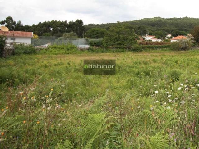 Terreno venda em Viana Do Castelo