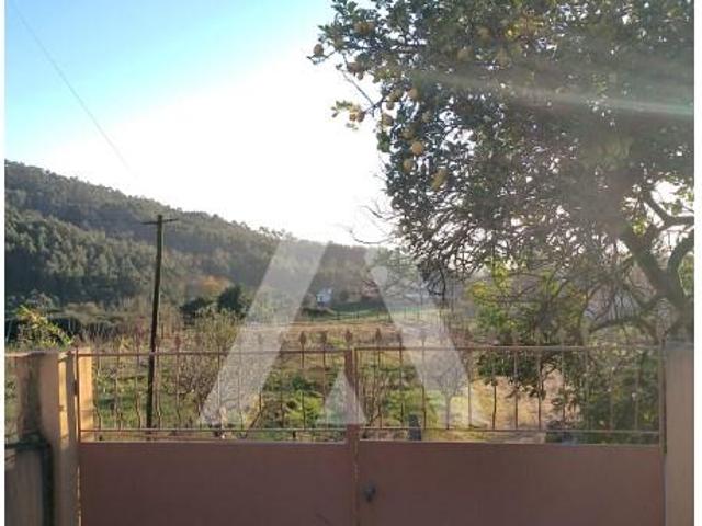 Terreno venda em Viana Do Castelo