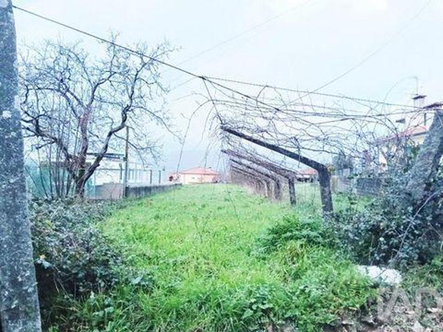 Terreno venda em Viana Do Castelo