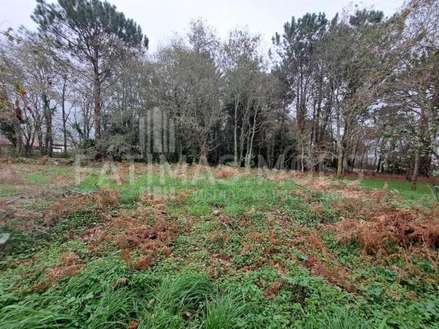 Terreno venda em Viana Do Castelo