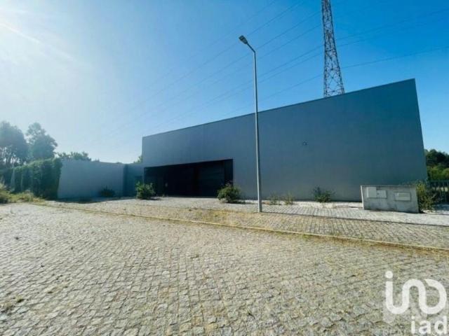 Loja alugar em Viana Do Castelo