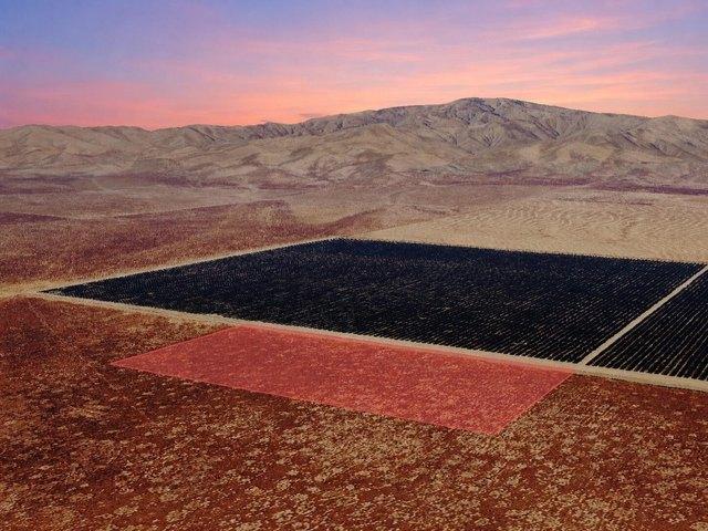 Land for sale in Lost Hills, California