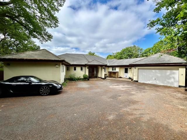 House for rent in Fole, Surrey