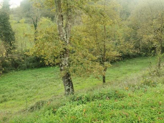 Appartamento in vendita a Vicchio, Toscana
