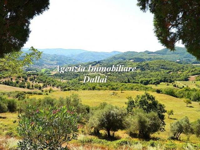 Terreno in vendita a Vicchio, Toscana
