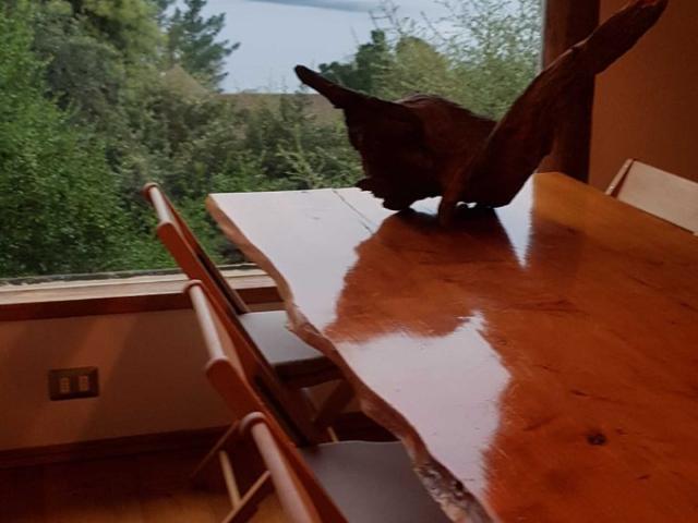 Vichuquén, Restaurante en venta Vichuquén 66578