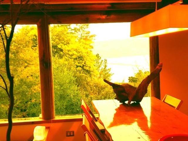 Vichuquén, Restaurante en venta Vichuquén 66578