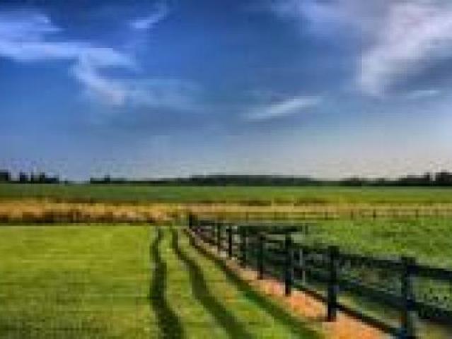 Terreno in vendita a Marche, Pesaro E Urbino