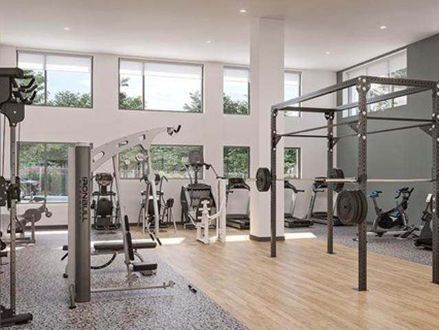Apartment for rent in Bellevue