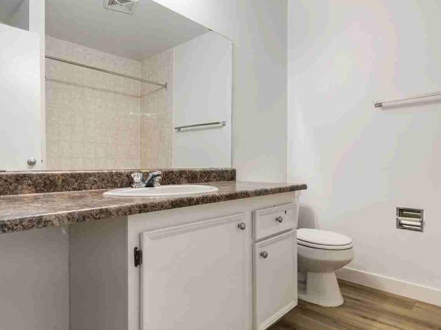 Apartment for rent in Edmonton, Wedgewood