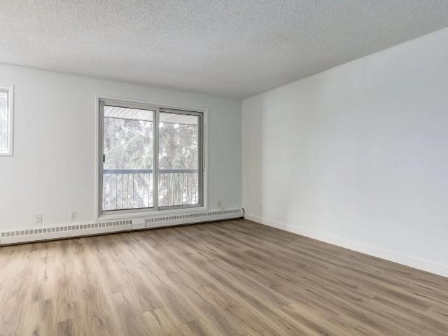 Apartment for rent in Wedgewood, Alberta