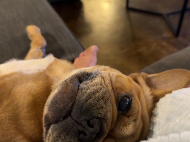 Room for rent in Cockburn, Western Australia