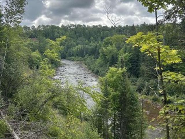 Land for sale in Ewen, McMillan Township