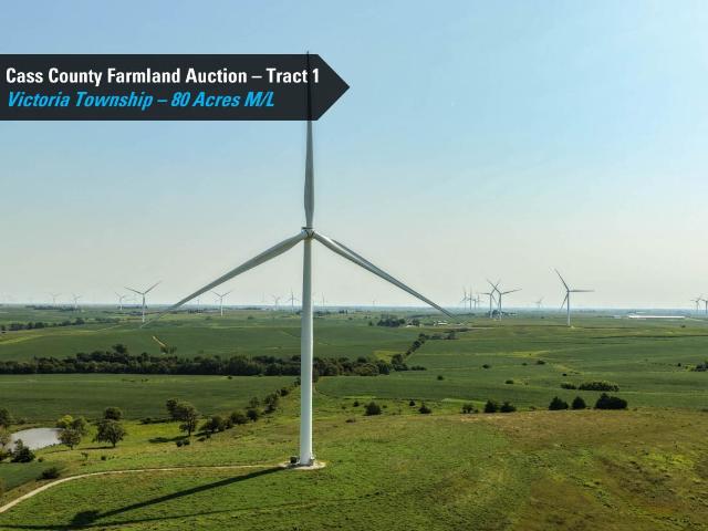 Land for sale in Massena, Iowa