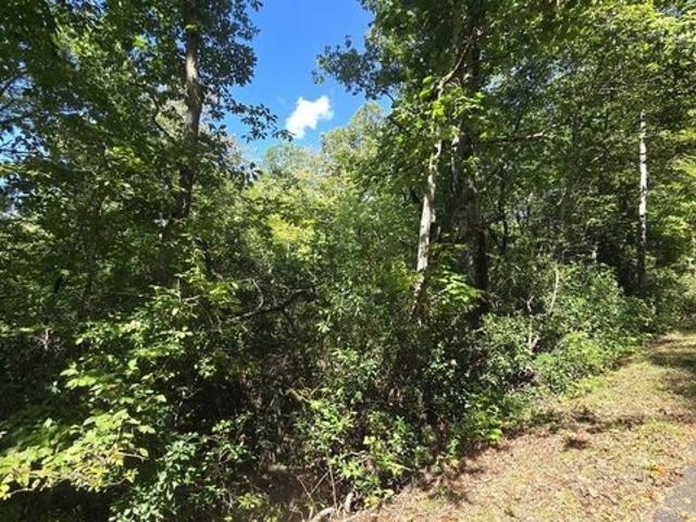 Land for sale in Hiawassee, Towns County