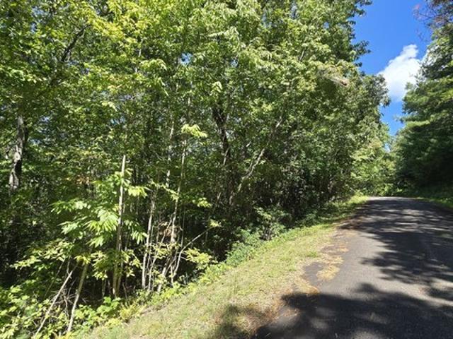 Land for sale in Hiawassee, Towns County