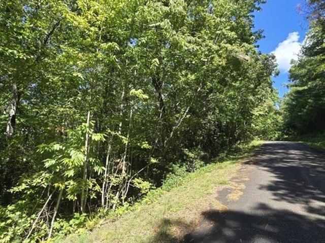 Land for sale in Hiawassee, Towns County