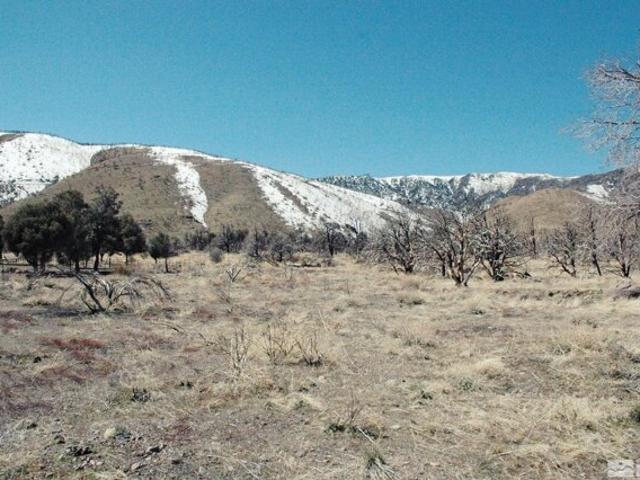 Land for sale in Gardnerville