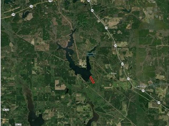 Land for sale in Avinger, Texas