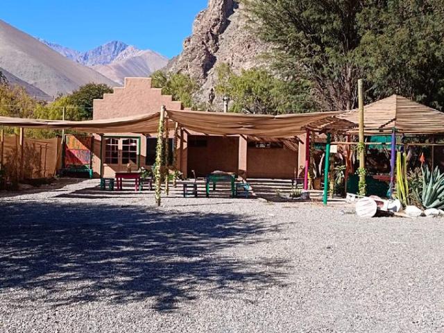 Vicuña, Vive en el valle del elquí 74410