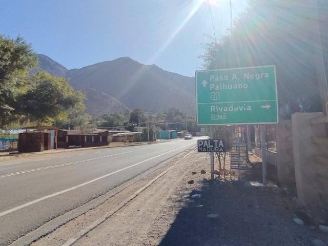 Vicuña, Vive en el valle del elquí 74410