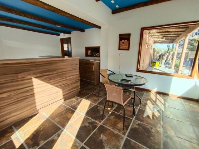 Vicuña, Vive en el valle del elquí 74410