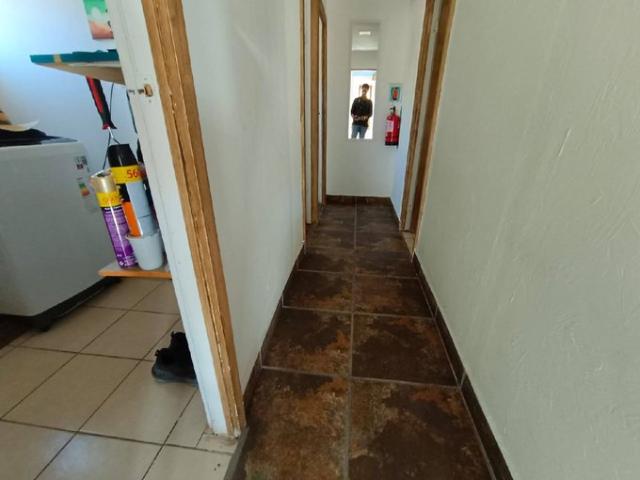 Vicuña, Vive en el valle del elquí 74410