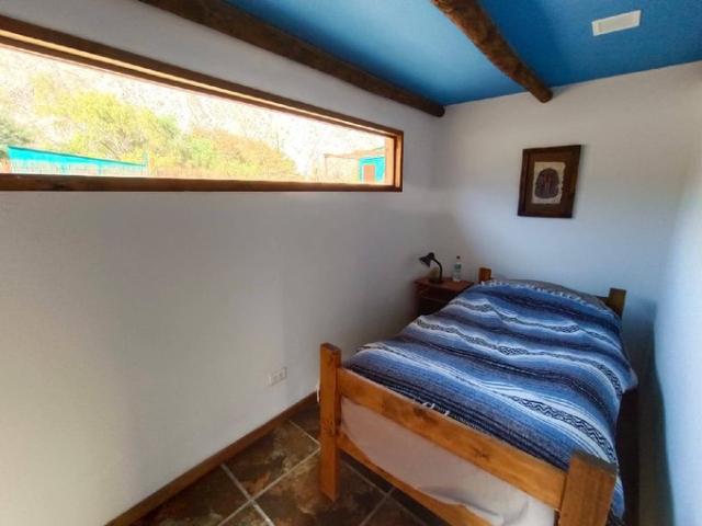 Vicuña, Vive en el valle del elquí 74410